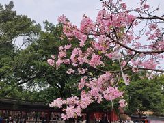 -宝墨园景区