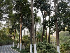 -红梅公园