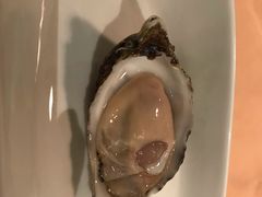 生蚝-Oyster Talks 四度蚝法餐厅