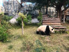 -泉州海丝野生动物世界