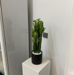 -I+造型烫发染发
