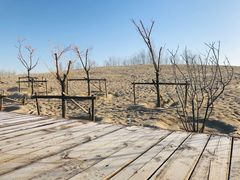 -东郊湿地公园