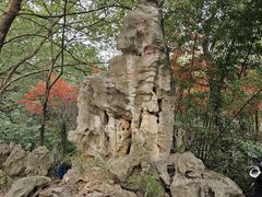 -同里国家湿地公园