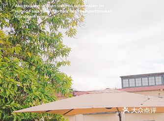 树下的极乐场.  极乐场空间，里面有各式各样的佛像展