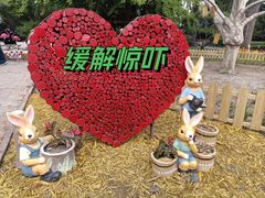 -香山公园