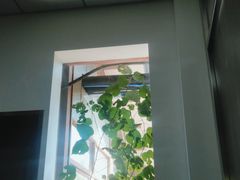 -乡党臊子面(丰庆公园店)