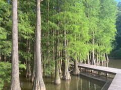 -采石矶景区