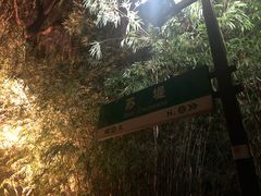 -苏堤停车场