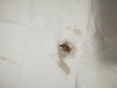 -润生堂(泰然四路店)