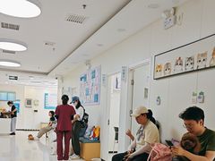 -美联众合动物医院·24h京西诊疗中心
