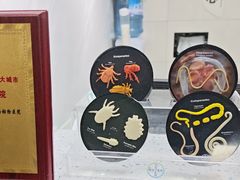 -半岛宠物医院24小时(白果林店)