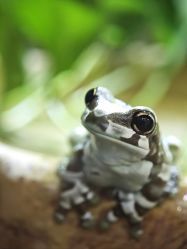 -Zoolung Zoolung动物主题公园(海信广场店)