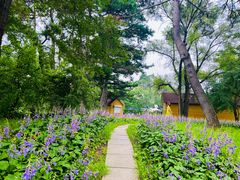 -长春市南湖公园