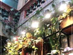 -杨小贤(五店市店)