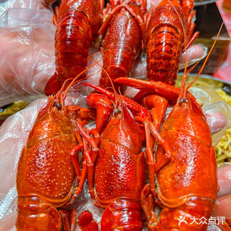 这家大排档,怎么又又又又又开新店了