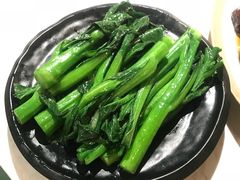 -裕.鹅庄