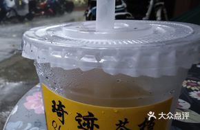Cold Brew Peach Oolong Tea