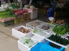 -西北农副产品中心批发市场(广安路店)