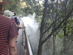 -宁波五龙潭景区