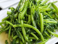 -阿巧茶庄