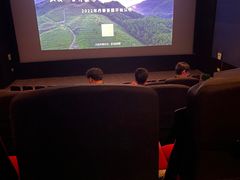 -万达影城(潍坊万达广场IMAX店)