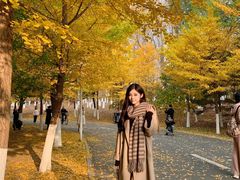 -长白岛森林公园