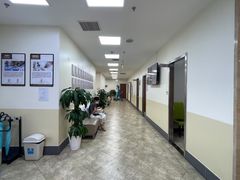-美联众合动物医院·24h转诊中心