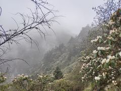 -九峰山