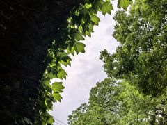 -虞山城墙