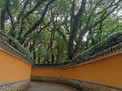 -法雨寺餐厅