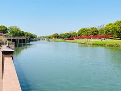 -苏州太湖湖滨国家湿地公园