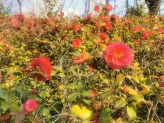 -苏州河梦清园环保主题公园