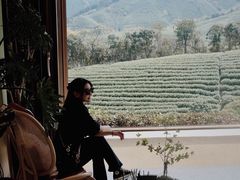 -白茶原·一片叶子