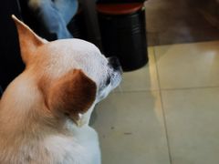 -Joymean coffee.见面咖啡