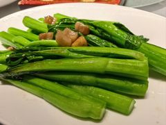 -大鸽饭(体育西路店)