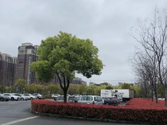 -顾村公园3号门停车场