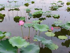 -上海市保健医疗中心