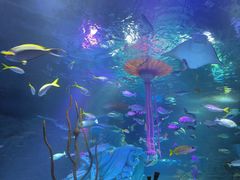 -沈阳海洋探索中心