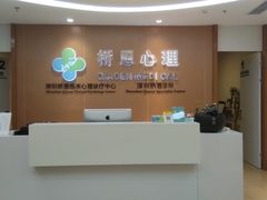 -桥恩心理咨询国际连锁(南山总店)