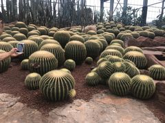 -南通洲际绿博园