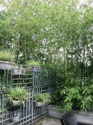 -金芙美月子中心(财富别墅店)
