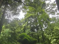 -青城山