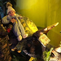 -恐龙探索乐园(磁器口店)