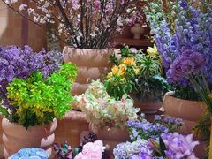 -BEAST野兽派(上海浦东嘉里城店)