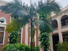 -香港大学