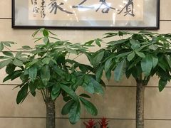 -江苏保险大厦宾馆(南京新街口德基广场店)