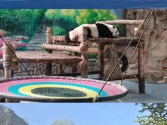 -青藏高原野生动物园