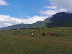 -玉湖村