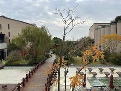 -上海崇明金茂凯悦酒店