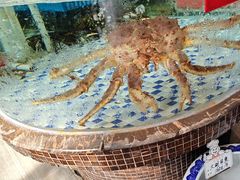 -黄泥岗·地道湖北菜(奥特莱斯店)